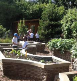 Christchurch Primary School