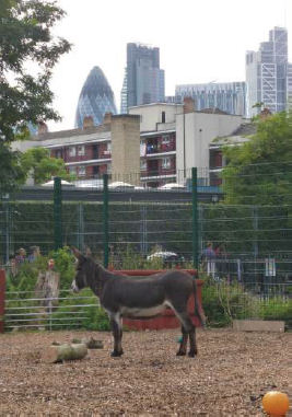 Spitalfields City Farm