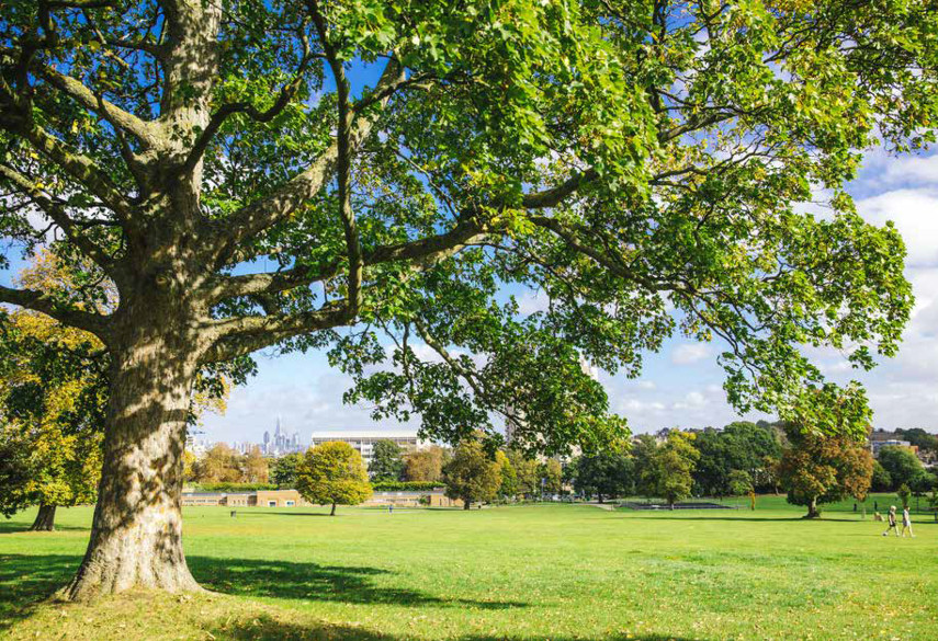 Strawberry Hill House Richmond
London in Bloom Gold Award 2019 Brockwell Park