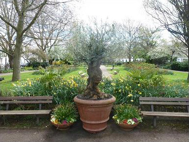 Arlington Square, Islington