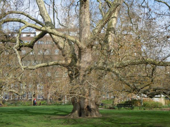 Brunswick Square, Bloomsbury
