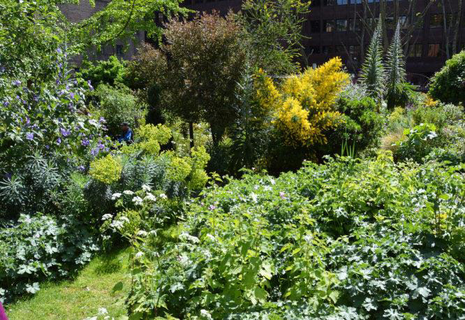 Phoenix Garden, Soho