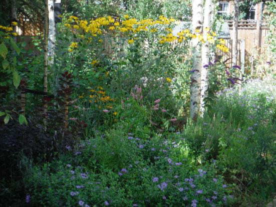 Sherland Road Rain Garden, Twickenham