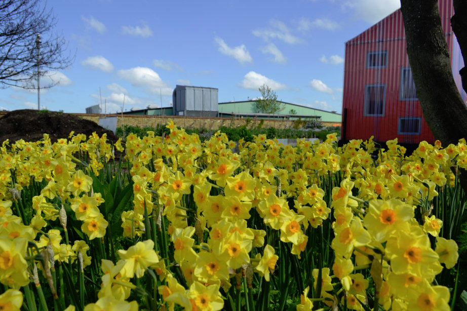 Abbey Gardens LB Newham
Spring 2015