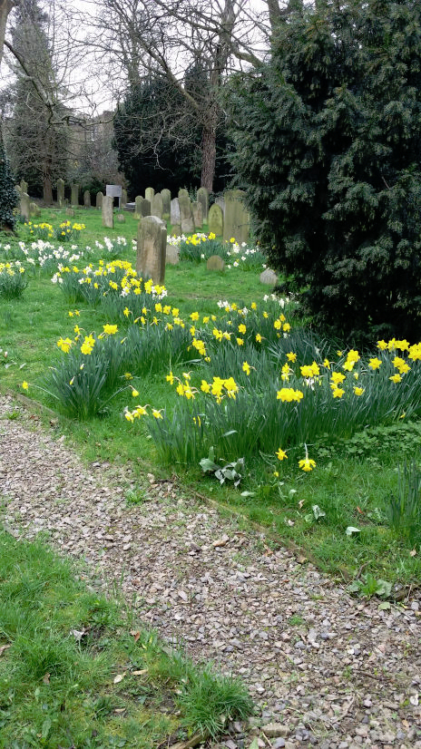 Oak Lane Cemetery RB Richmond     
 Spring 2018