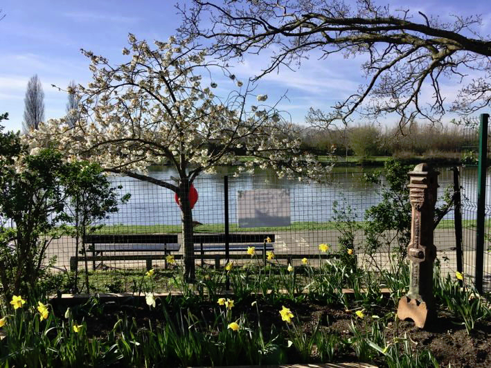 Queens Promenade, RB Kingston upon Thames Spring 2020
