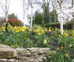 St. Christopher's Hospice