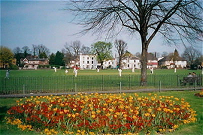 Cricket Green Mitcham