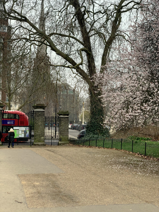 The Lancaster Gate at Kensington Gardens