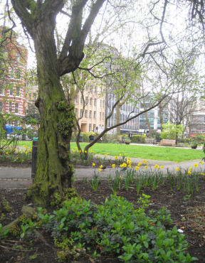 Red Loin Square