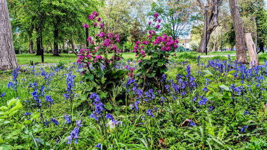 Victoria Park Cemetry
